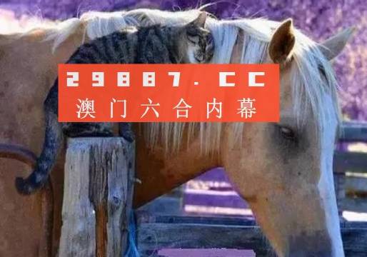 澳門一肖一碼一待一中四不像，探索與解析，澳門一肖一碼一待一中四不像，深度解析與探索