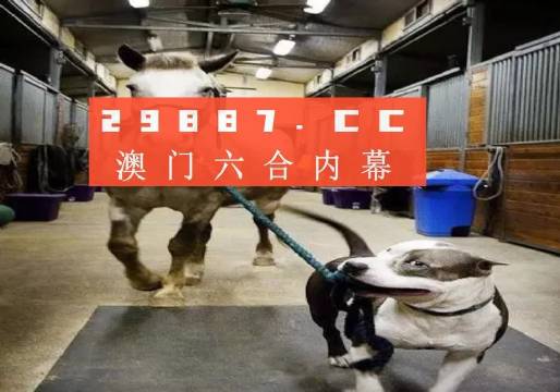 澳門一肖一碼一必中一肖，同舟前進(jìn)的奧秘與策略，澳門一肖一碼必中策略與前進(jìn)奧秘，同舟共濟(jì)的揭秘與策略