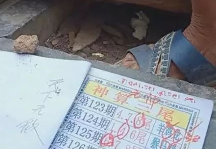 香港中特期期準資料，深度解析與探索，香港中特期期準資料深度解析與探索報告