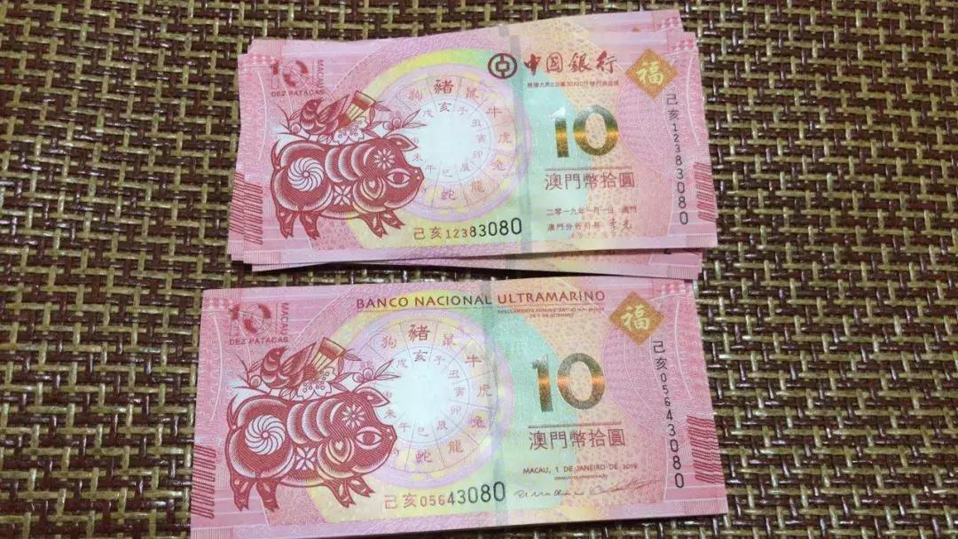 新澳門生肖走勢圖，深度解析與預(yù)測，澳門生肖走勢圖深度解析及預(yù)測報(bào)告