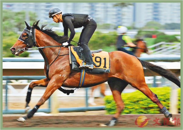 香港賽馬，探索數(shù)字背后的激情與榮耀，香港賽馬，數(shù)字背后的激情與榮耀之旅