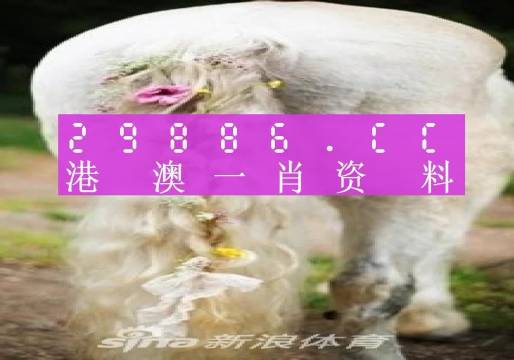 澳門羊了個(gè)羊與各大圖庫(kù)的資料揭秘，2023年澳門今晚必中一肖一碼永久免費(fèi)資料庫(kù)大解密，澳門羊了個(gè)羊與資料庫(kù)揭秘，2023年必中一肖一碼永久免費(fèi)資料大解密