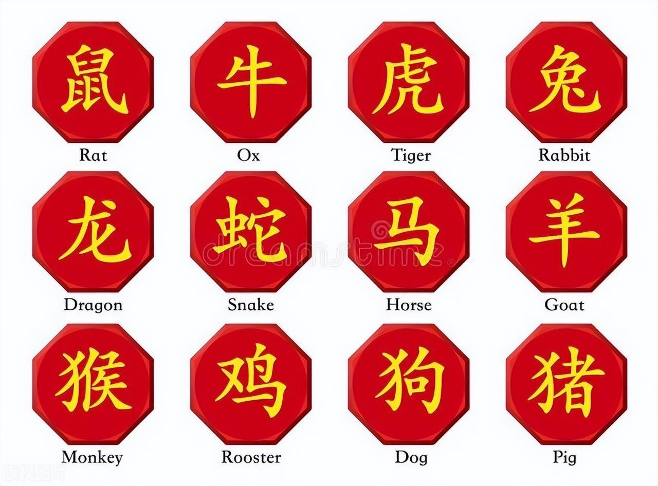 新澳特碼，羊?；⒏鲾?shù)10——揭秘背后的數(shù)字奧秘，揭秘新澳特碼數(shù)字奧秘，羊牛虎各數(shù)背后的秘密