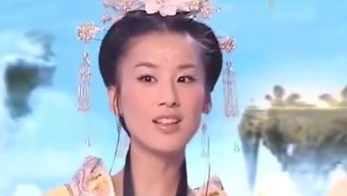 曾道道人資料免費(fèi)大全，深度探索與解析，曾道道人資料深度解析與免費(fèi)大全探索