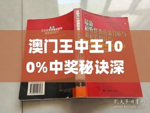新澳門王中王期期中，探索與解析，新澳門王中王期期中，深度探索與解析