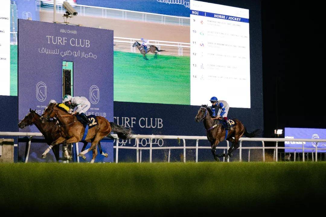 澳門特馬今晚開獎一，探索彩票背后的秘密與期待，澳門特馬今晚開獎，揭秘彩票背后的秘密與期待大獎的激動心情