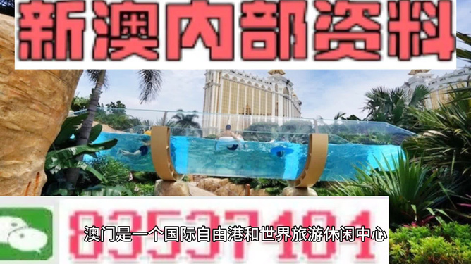 新澳的資料去哪里找——全面指南，新澳資料全攻略，尋找資料的途徑與指南
