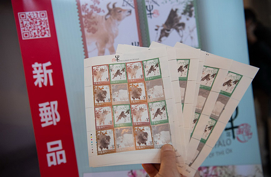 澳門值日生肖600圖庫(kù)與八百圖庫(kù)開獎(jiǎng)，探索生肖圖庫(kù)的魅力與奧秘，澳門生肖圖庫(kù)開獎(jiǎng)揭秘，探索值日生肖600圖庫(kù)與八百圖庫(kù)的魅力與奧秘