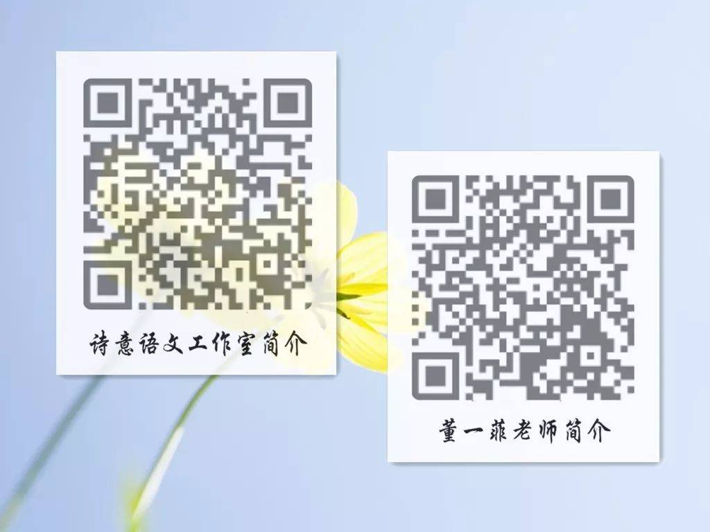 一碼一肖一特一，揭秘背后的秘密與獨(dú)特之處，揭秘一碼一肖一特一的獨(dú)特之處與背后秘密