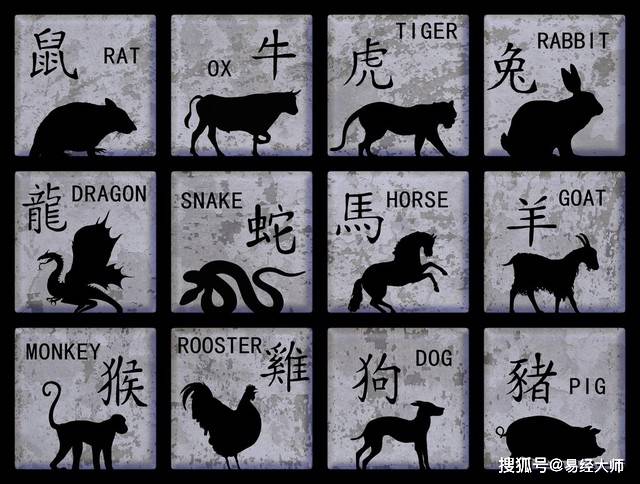 新澳特碼，羊?；⒏鲾?shù)10的獨特魅力與解析，新澳特碼，羊?；⒏鲾?shù)10的獨特魅力深度解析
