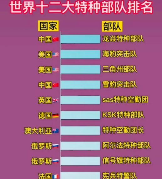 中國十大王牌特種部隊(duì)，實(shí)力與榮耀的象征，中國十大王牌特種部隊(duì)，實(shí)力與榮耀的巔峰標(biāo)志