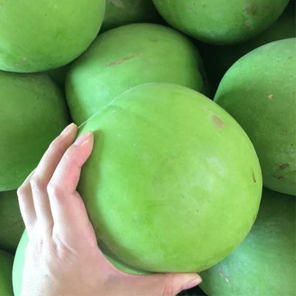 熱點(diǎn) 第301頁