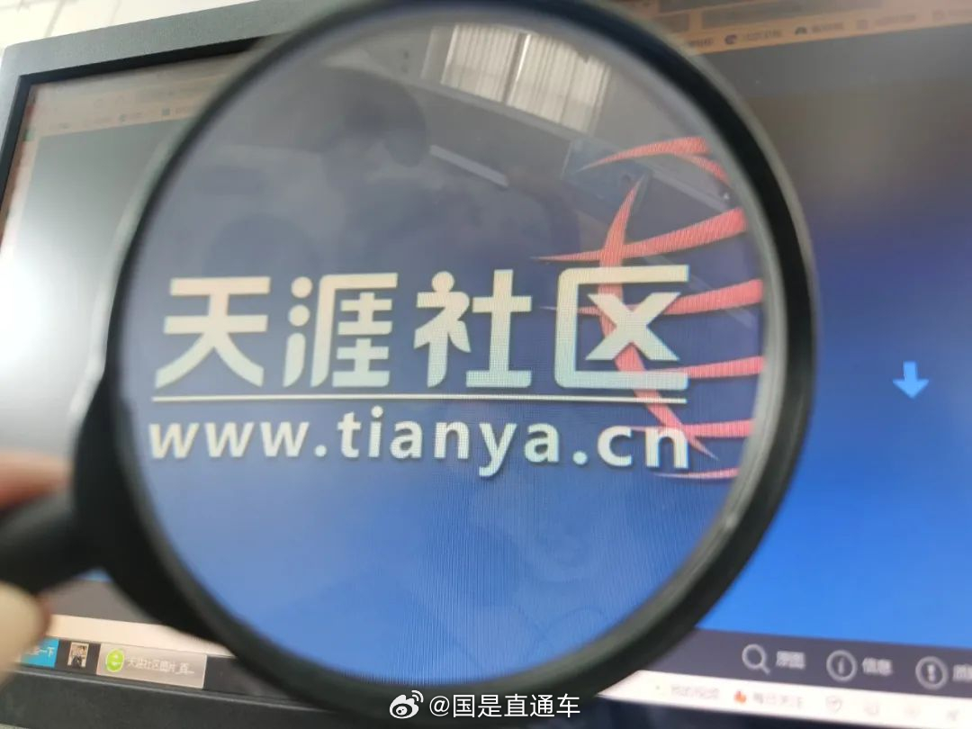 天涯國際觀察，全球視野下的深度分析與洞察，全球深度洞察，天涯國際觀察分析