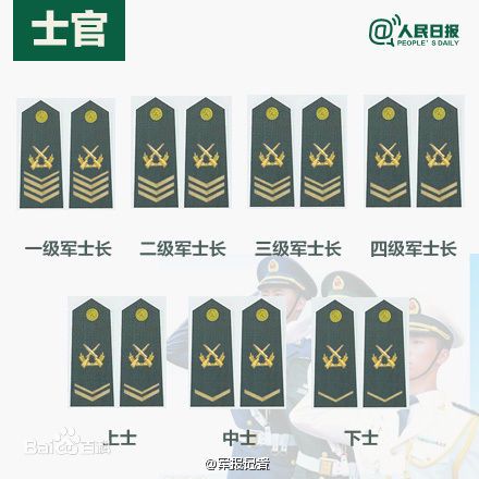 全球各國軍士長軍銜對照表及其重要性，全球各國軍士長軍銜對照表，揭示其重要性