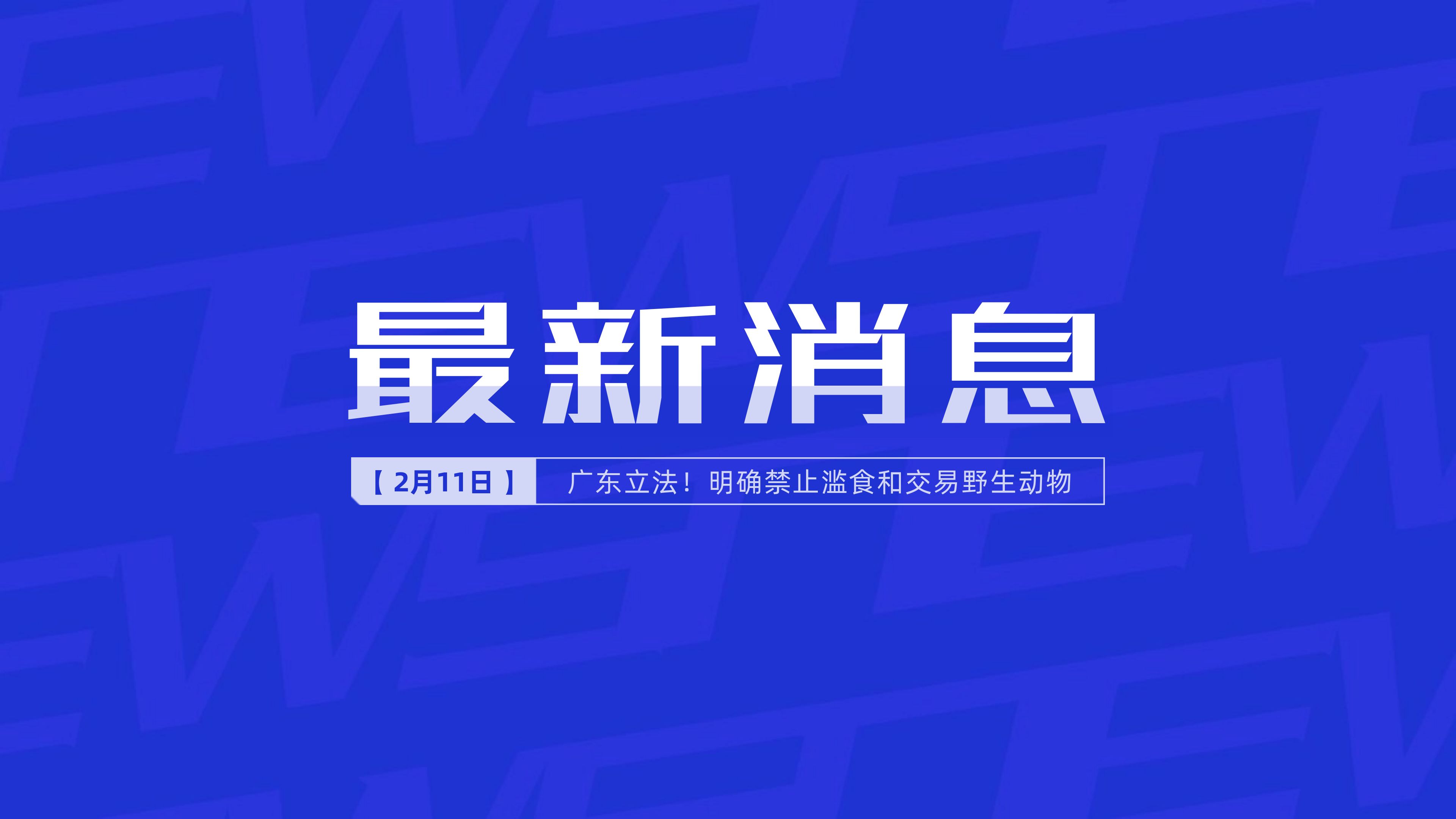新聞最新新聞，掌握時(shí)事熱點(diǎn)，洞悉世界動態(tài)，時(shí)事熱點(diǎn)速遞，掌握全球最新動態(tài)新聞