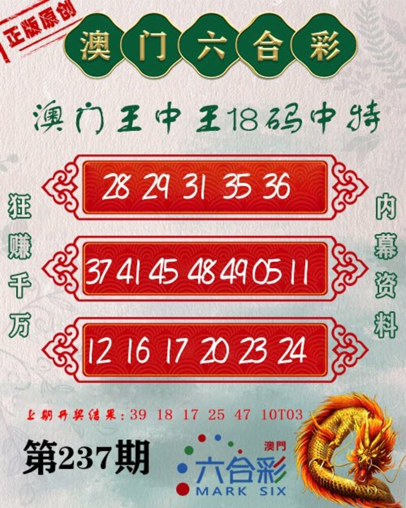 新澳門王中王期期中，探索與解析，新澳門王中王期期中，深度探索與解析
