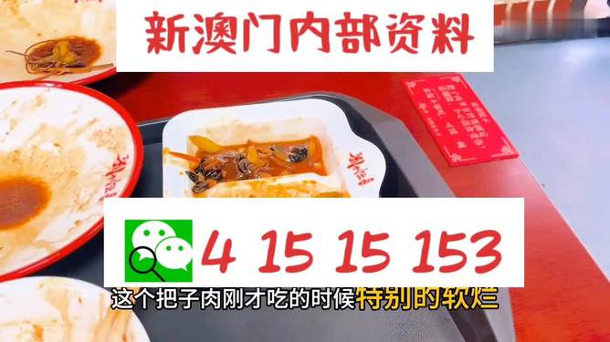 澳門王中王六碼新澳門，探索與解析，澳門王中王六碼新澳門，深度探索與解析