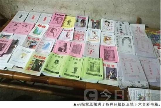 揭秘六肖期期中特期期期準(zhǔn)的奧秘，全面解析與策略分享，揭秘六肖期期中的奧秘，全面解析與策略分享