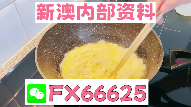 澳門九點(diǎn)半9點(diǎn)半網(wǎng)站——探索與體驗(yàn)，澳門九點(diǎn)半網(wǎng)站，探索與體驗(yàn)之旅