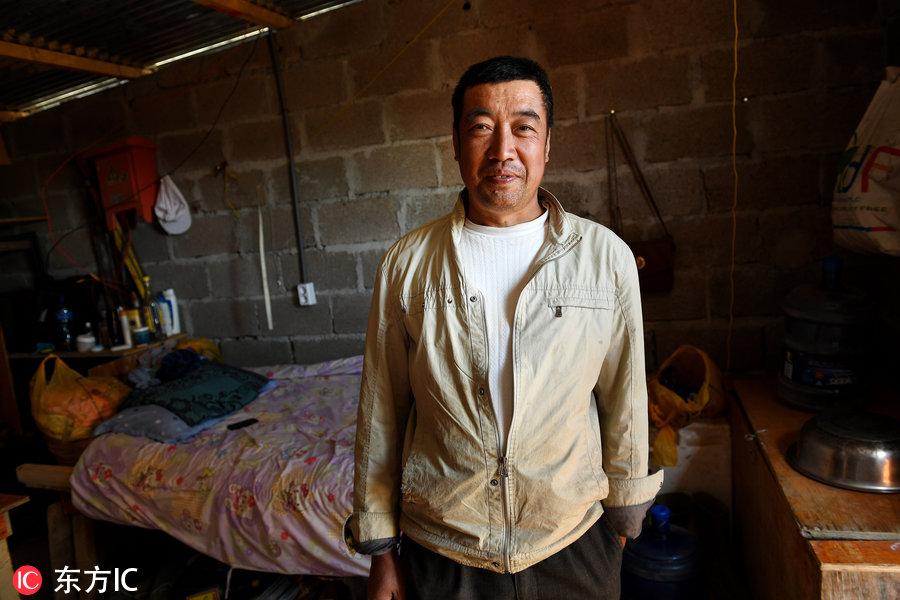 博科圣地組織，深度解析與理解，博科圣地組織深度解析與探究