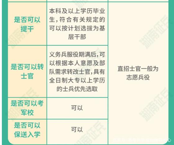 士官直招與義務兵的區(qū)別，深入了解軍隊招募制度，直招士官與義務兵招募制度深度解析，軍隊招募制度詳解