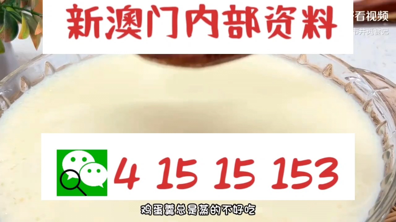 新澳門中特網(wǎng)中特馬，探索與解析，澳門中特馬探索與解析指南