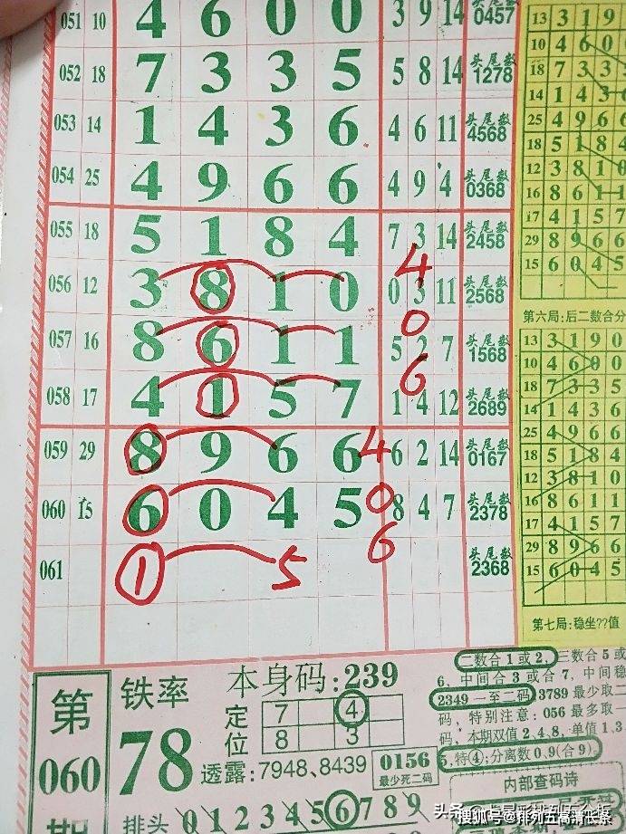 平特肖推算法，探索搜索引擎優(yōu)化的新境界，平特肖推算法，開啟搜索引擎優(yōu)化新境界的探索之旅