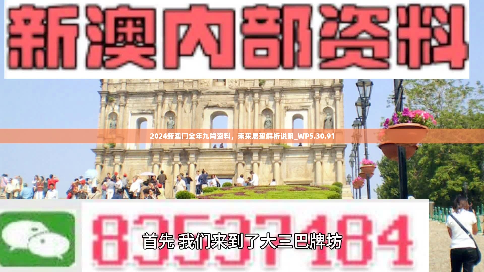 新澳門精準(zhǔn)九肖，揭秘預(yù)測(cè)技巧與策略，揭秘新澳門精準(zhǔn)九肖預(yù)測(cè)技巧與策略