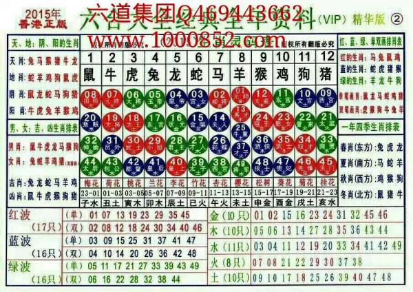 揭秘2024十二生肖49碼表——完整指南，揭秘十二生肖49碼表全攻略，2024年最新版指南