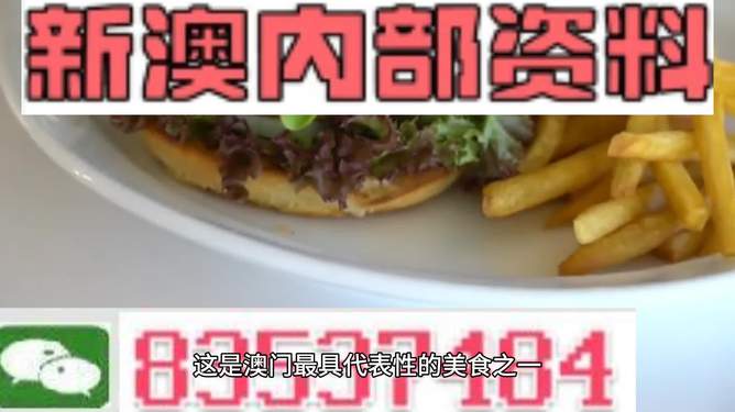 新澳2024生肖最新資料解析與預(yù)測(cè)，新澳2024生肖解析與預(yù)測(cè)報(bào)告