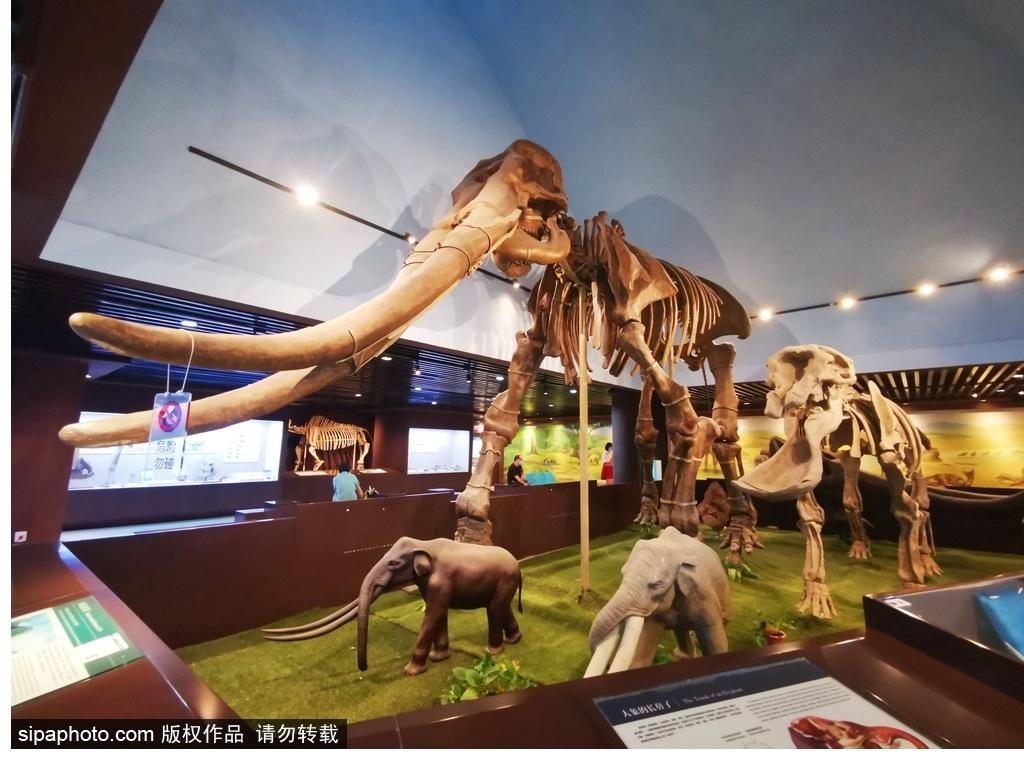 北京必去的十大博物館——探尋千年文化的精華之旅，北京必游十大博物館，千年文化精華之旅探尋記