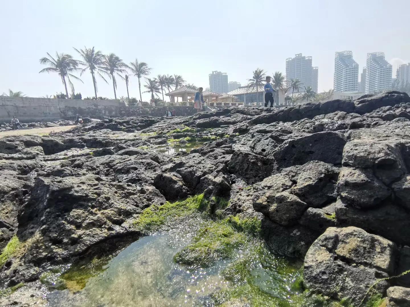 解放海南島電視劇全集下載，探尋30集完整劇情，解放海南島電視劇全集下載，探尋完整的30集劇情探索