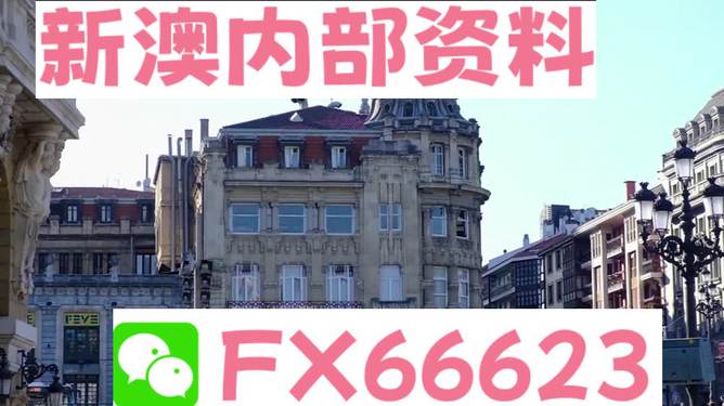 澳門六資料大全，深度探索與揭秘，澳門六資料大全，深度探索與揭秘之旅