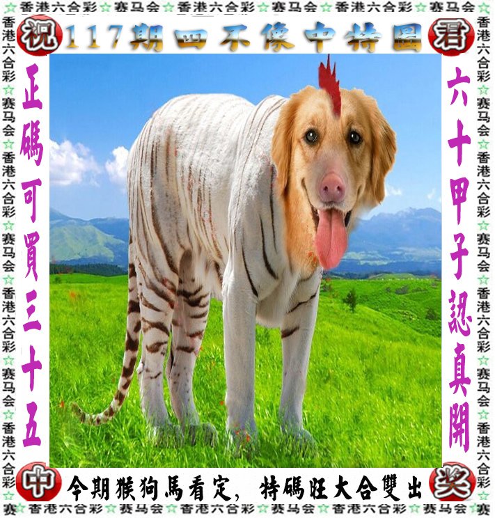 王中王四不像一肖論壇，探索神秘論壇的世界，王中王四不像一肖論壇，神秘論壇世界的探索之旅