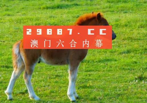 澳門答家婆一肖一馬一中一特，揭秘背后的秘密與獨(dú)特文化魅力，澳門文化魅力深度解析，答家婆一肖一馬一中一特的獨(dú)特傳統(tǒng)與秘密