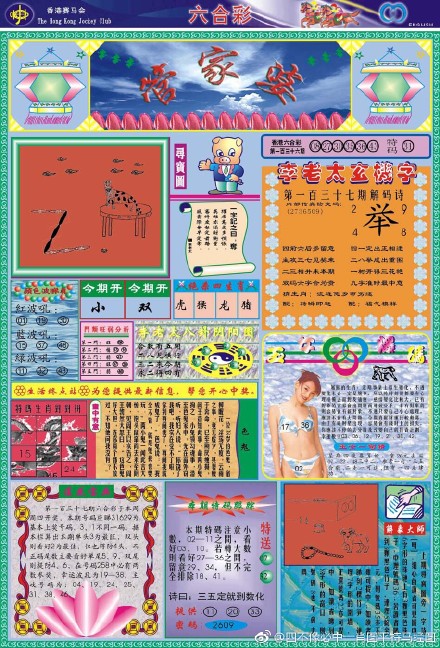 王中王四不像必出一肖圖——揭秘彩票背后的秘密，揭秘彩票背后的秘密，王中王四不像必出一肖圖的真相探索