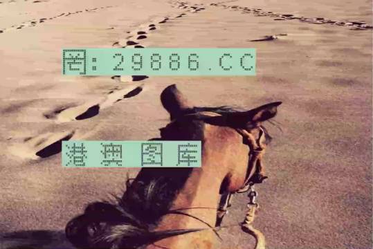 香港特馬資料王中王24期，深度解析與探索，香港特馬資料王中王深度解析與探索，第24期探索之旅