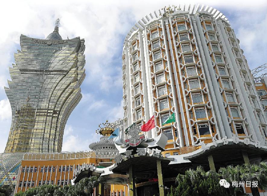 新澳門最精準——探索澳門的精準旅游魅力，澳門精準旅游魅力探索之旅