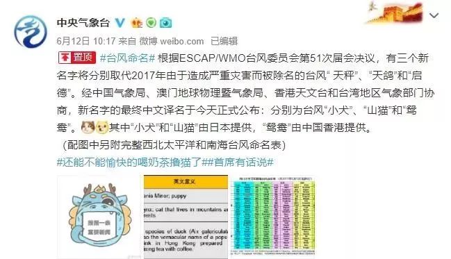 新澳門必中三肖三碼三期必開劉伯，揭秘彩票背后的秘密與策略，揭秘彩票背后的秘密與策略，劉伯的新澳門三期必開三肖三碼預(yù)測技巧