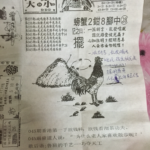 揭秘林中的高手王中王猜一肖的奧秘，揭秘林中之王王中王與生肖奧秘探秘