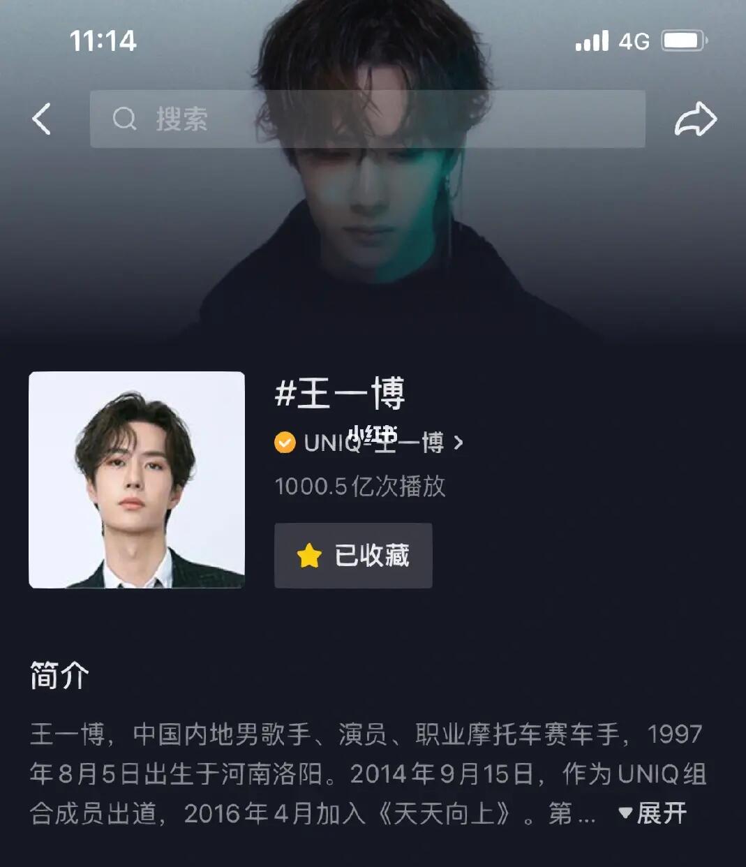 王中王一肖內(nèi)部資料詳解，王中王一肖內(nèi)部資料深度解析
