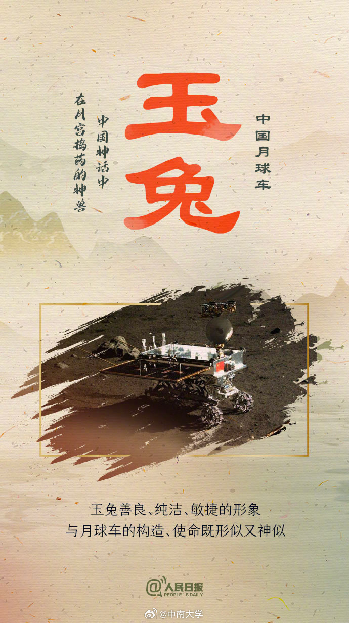 揭秘王中王平特一肖免會(huì)公開的奧秘，王中王平特一肖免公開揭秘奧秘