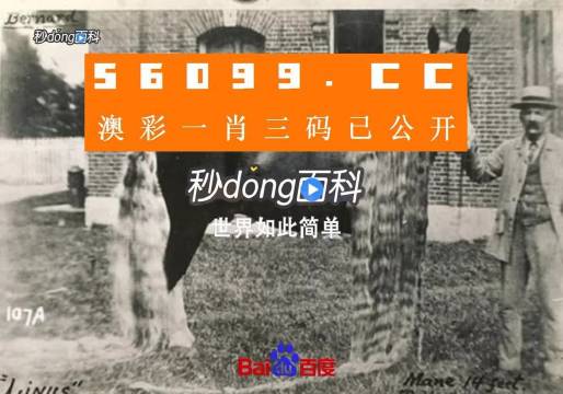 澳門王中王心水王中王，探索與解析，澳門王中王心水奧秘，深度探索與解析