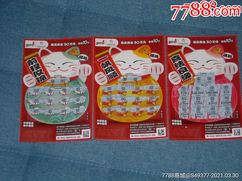 揭秘王中王資料一肖中特y招財(cái)貓，真相與秘密，揭秘王中王資料與招財(cái)貓，真相與秘密探索