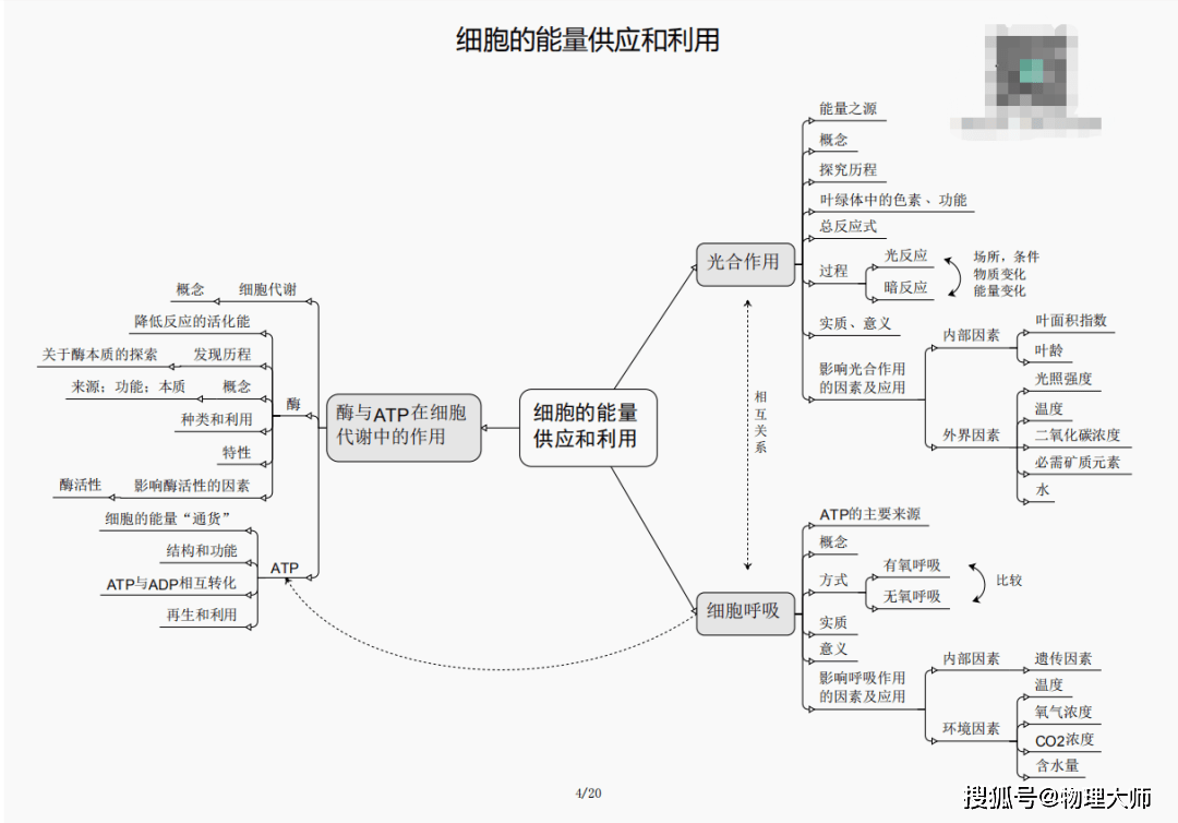 揭秘劉伯溫四肖三期內(nèi)必出一，神秘預言背后的真相，劉伯溫四肖三期預言真相揭秘，神秘預言背后的必然與偶然