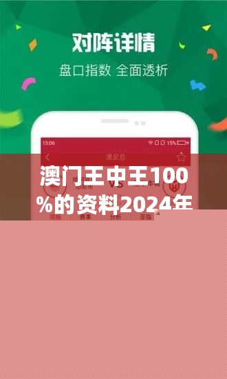 王中王網(wǎng)站一肖，探索與SEO優(yōu)化策略，王中王網(wǎng)站一肖，深度探索與SEO優(yōu)化策略實踐