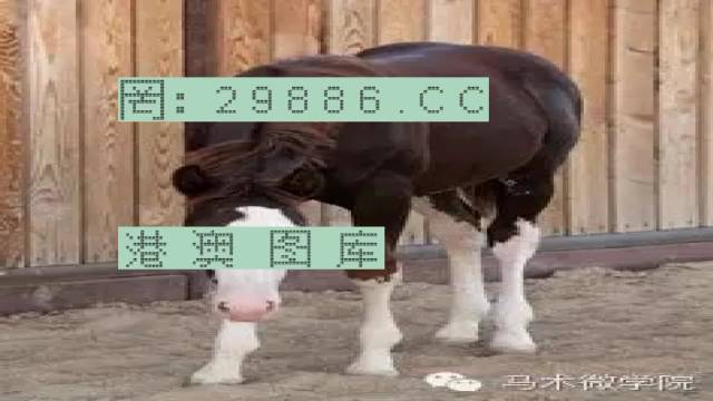 揭秘446999一肖中特馬之秘密，掌握中獎(jiǎng)玄機(jī)！，揭秘特馬中獎(jiǎng)玄機(jī)，446999一肖中的秘密大揭秘！