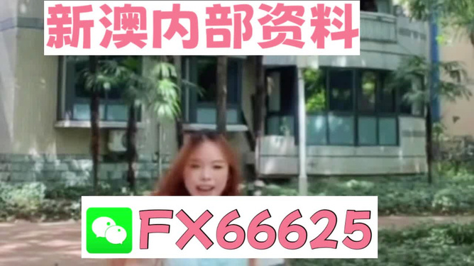 香港內(nèi)部精準資料一碼，揭秘與深度解析，香港內(nèi)部精準資料一碼揭秘與深度剖析