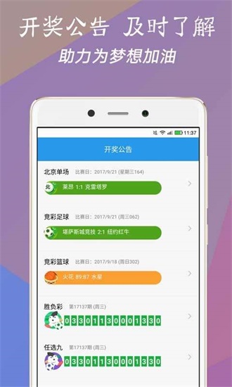 澳門今一必中一肖一碼一肖，揭秘彩票背后的秘密與策略，揭秘彩票背后的秘密與策略，澳門今一必中一肖一碼一肖探秘