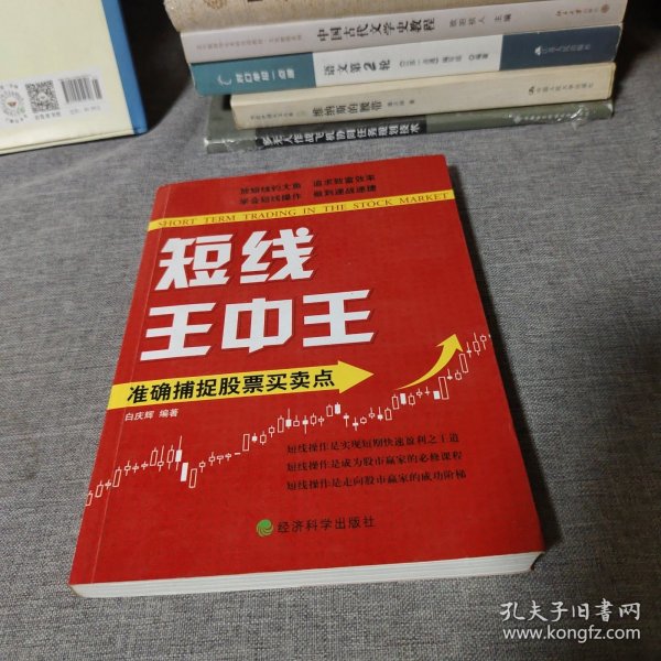 王中王平特一肖中的奧秘與探索，王中王平特一肖的奧秘與探索之旅